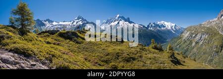Panorama montano da Aiguillette de Poisettes, Aiguille de Tour sinistra e Aiguille de Chardonnet, Aiguille Verte medio e Monte Bianco destro Foto Stock