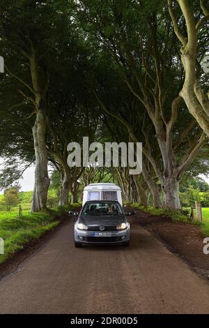 Auto con caravan, guida attraverso Beech Avenue, The Dark Hedges, Ballymoney, County Antrim, Irlanda del Nord, Regno Unito Foto Stock