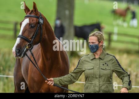 Zara Tindall CLASSE di equitazione IN CCI-L 4* Sezione L Durante la prima ispezione dei cavalli al MERCATO INTERNAZIONALE DI BURNHAM (3) detenuti presso la Sussex Farm n Foto Stock