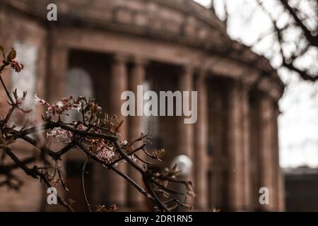 07 marzo 2020 Stoccarda, Germania - Vista frontale del famoso teatro storico dell'opera di Stoccarda, progettato dall'architetto Max Littmann con il piccolo lago Eckensee Foto Stock