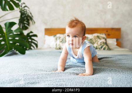 Felice ragazzo di ridere bambino strisciando sul letto grigio, fasi di sviluppo del bambino di 3.5 mesi Foto Stock