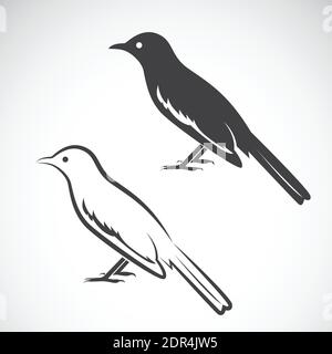 Vettore di disegno magpie su sfondo bianco. Icona uccello. Illustrazione vettoriale. Illustrazione vettoriale a livelli facilmente modificabile. Animali selvatici. Illustrazione Vettoriale