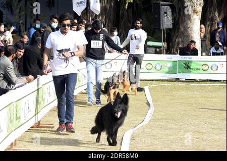 Rawalpindi. 20 dicembre 2020. La gente partecipa all'All Breed Dog Show con i loro cani a Rawalpindi della provincia pakistana del Punjab il 20 dicembre 2020. L'All Breed Dog Show si è tenuto la domenica e ha attirato molti concorrenti a mostrare i loro cani. Credit: Ahmad Kamal/Xinhua/Alamy Live News Foto Stock