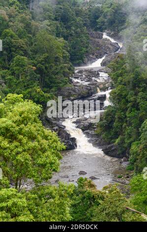 Fiume nella foresta pluviale tropicale, Parco Nazionale di Ranomafana, Madagascar Foto Stock