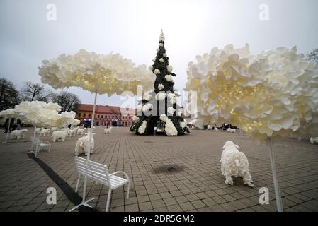 Kaunas, Lituania - 19 dicembre 2020: L'albero di Natale principale di Kaunas si trova nella piazza del Municipio. Le decorazioni sono create dal bere di plastica Foto Stock