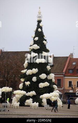 Kaunas, Lituania - 19 dicembre 2020: L'albero di Natale principale di Kaunas si trova nella piazza del Municipio. Le decorazioni sono create dal bere di plastica Foto Stock