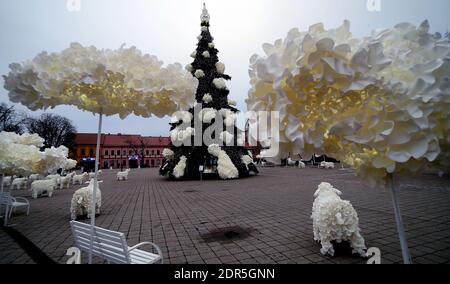 Kaunas, Lituania - 19 dicembre 2020: L'albero di Natale principale di Kaunas si trova nella piazza del Municipio. Le decorazioni sono create dal bere di plastica Foto Stock