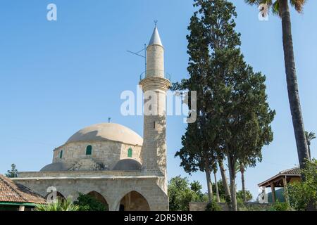 Hala Sultan Tekke o la moschea di Umm Haram vicino con palme, una moschea e complesso tekke sulla riva occidentale del lago salato Larnaca, a Larnaca, Cipro Foto Stock