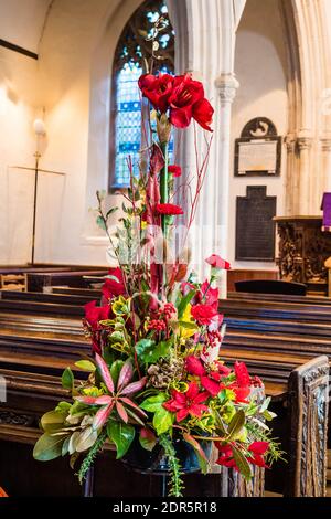 Natale fiori in mostra alla Chiesa di tutti i santi in East Budleigh. Foto Stock