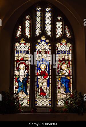 Natale fiori in mostra alla Chiesa di tutti i santi in East Budleigh. Foto Stock