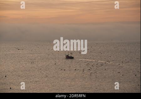 Pesca barca, birra, Devon Foto Stock