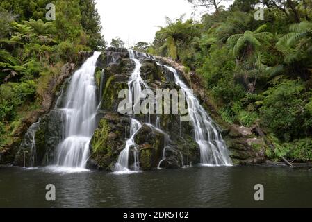 Cascate di Owharoa, Waikino, Isola del Nord, Nuova Zelanda Foto Stock