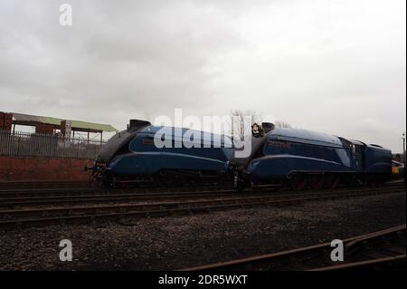 'Bittern' e 'dominio del Canada' nel cortile di Barrow Hill. Foto Stock