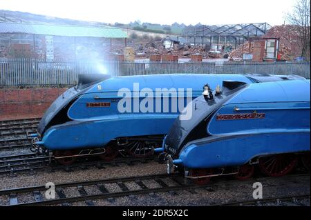 'Bittern' e 'dominio del Canada' nel cortile di Barrow Hill. Foto Stock