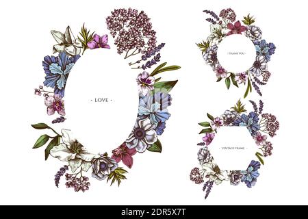 Cornici floreali con anemone colorato, lavanda, rosmarino eterno, falaenopsis, giglio, iris Illustrazione Vettoriale