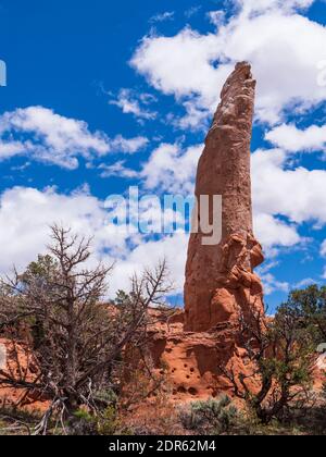 Ballerina spire, Panorama Trail, Kodachrome Basin state Park, Cannonville, Utah. Foto Stock