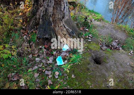 2020 natura Foto Stock