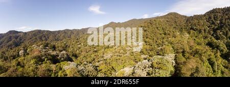 Vista aerea panoramica sulla foresta pluviale montana nella riserva di Los Cedros con la Cordillera de Toisan in lontananza, Ecuador occidentale. Foto Stock