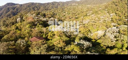 Vista aerea panoramica sulla foresta pluviale montana nella riserva di Los Cedros con la Cordillera de Toisan in lontananza, Ecuador occidentale. Foto Stock