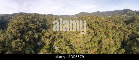 Vista aerea panoramica sulla foresta pluviale montana nella riserva di Los Cedros con la Cordillera de Toisan in lontananza, Ecuador occidentale. Foto Stock