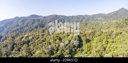Vista aerea panoramica sulla foresta pluviale montana nella riserva di Los Cedros con la Cordillera de Toisan in lontananza, Ecuador occidentale. Foto Stock