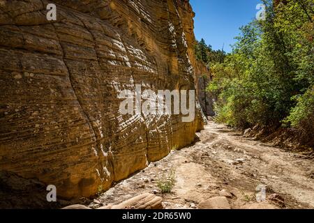 Lick Wash è un canyon di slot le cui pareti di roccia sono Formato da erosione dell'acqua da inondazioni flash a Grand Staircase-Escalante Monumento nazionale a Kane Conte Foto Stock