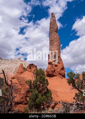 Ballerina spire, Panorama Trail, Kodachrome Basin state Park, Cannonville, Utah. Foto Stock