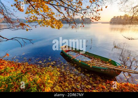 Warmia e Masuria, una barca coperta di foglie, Polonia Foto Stock