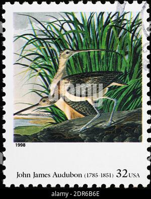 Curlews a lunga fattura di John James Audubon sul francobollo americano Foto Stock