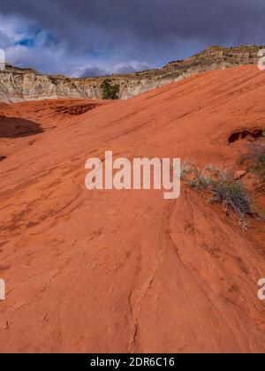 Arenaria e scogliere, Kodachrome Basin state Park, Cannonville, Utah. Foto Stock