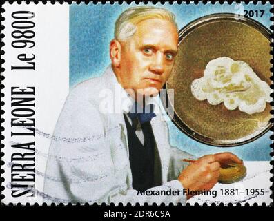 Ritratto di Sir Alexander Fleming su francobollo Foto Stock