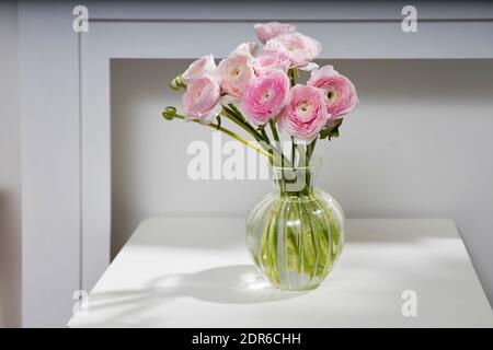 Un bouquet di bicchierini rosa persiani in vaso di vetro su un tavolo bianco di fronte ad un finto camino bianco. Foto Stock