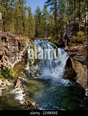 Paulina Creek Falls sotto McKay Crossing a ovest dell'Oregon centrale Newberry National Volcanic Monument Foto Stock