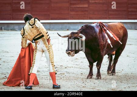 Corrida tradizionale, corrida in spagna. I bulfighting sono vietati in Catalunia dal 2011 per la tortura degli animali. Foto Stock