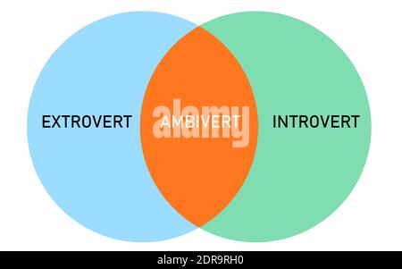 infografica del diagramma di intersezione dell'ambiverso estroverso con stile piatto Illustrazione Vettoriale