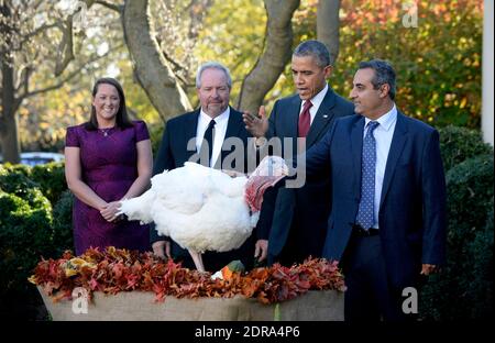 Il presidente Barack Obama pardons Abe a18-settimana, tacchini 40-libbra durante una cerimonia alla Casa Bianca 25 novembre 2016 a Washington, DC, Stati Uniti. Il perdono presidenziale di un tacchino è stata una lunga tradizione di ringraziamento che risale all'amministrazione di Harry Truman. Foto di Olivier Douliery/ABACAPRESS.COM Foto Stock