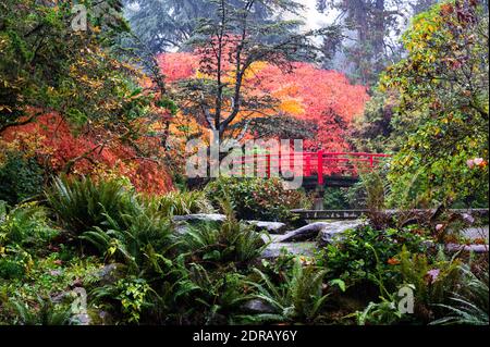 Ponte in stile giapponese rosso in un'area boscosa al Kubota Public Park a Seattle Foto Stock