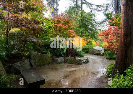 Giornata piovosa in un giardino giapponese in autunno Foto Stock