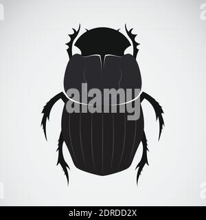 Vettore di un coleottero su sfondo bianco. Illustrazione vettoriale a livelli facilmente modificabile. Insetto. Illustrazione Vettoriale