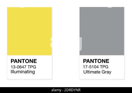 SWINDON, UK - 20 DICEMBRE 2020: PANTONE illuminante giallo e Ultimate Grey Trending Colors of the Year 2021. Illustrazione vettoriale campioni di colore Illustrazione Vettoriale