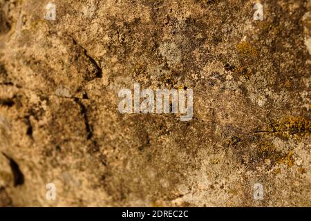 La consistenza della roccia sul terreno Foto Stock