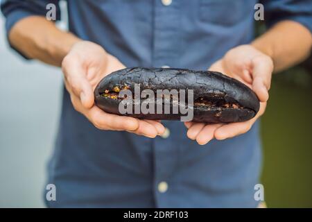 Maiale vietnamita Banh mi Sandwich in una baguette nera Foto Stock