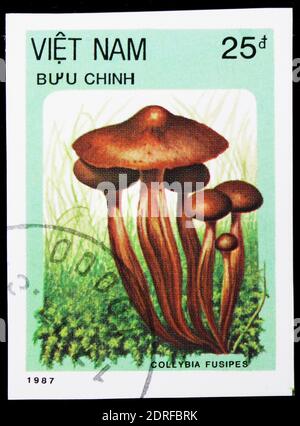 MOSCA, RUSSIA - 4 GENNAIO 2019: Un francobollo stampato in Vietnam mostra Collybia Fusipes, Mushrooms serie, circa 1987 Foto Stock