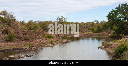 Vista panoramica panoramica dal paesaggio del fiume con uccelli e ippopotami in lontananza nel Parco Nazionale Kruger, Sud Africa Foto Stock