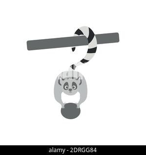 Lemure con coda ad anello. Scimmia selvatica isolata con coda a strisce lunghe. Cute primate mammifero cartoon personaggio icona. Illustrazione Vettoriale
