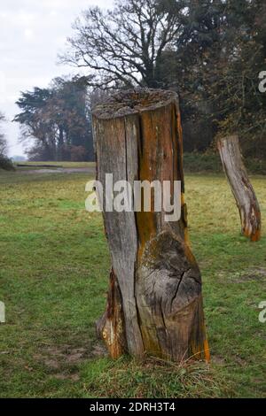 installazione di alberi, parco di nowton, bury st edmunds, suffolk, inghilterra Foto Stock