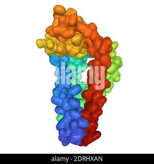 Struttura cristallina del CD9 umano, modello di superficie 3D, sfondo bianco Foto Stock