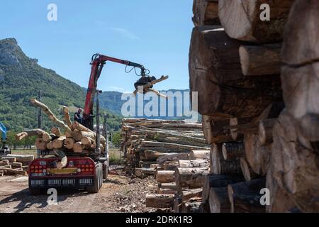 Azienda Barraquand a Saint-Jean-en-Royans, specializzata in tronchi, commercio di tutti i tipi di legno e legna da ardere. Tronchi d'albero scaricati da un camion Foto Stock