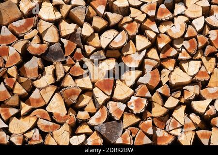 Azienda Barraquand a Saint-Jean-en-Royans, specializzata in tronchi, commercio di tutti i tipi di legno e legna da ardere. Deposito di legno tagliato Foto Stock