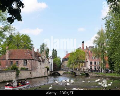 BRUGES, BELGIO - 10 maggio 2019: Belgio, Bruges, 10 maggio 2019, 1.50p.m, un prato con waterfowlan escursione aperta e barca turistica. Nel backgr Foto Stock